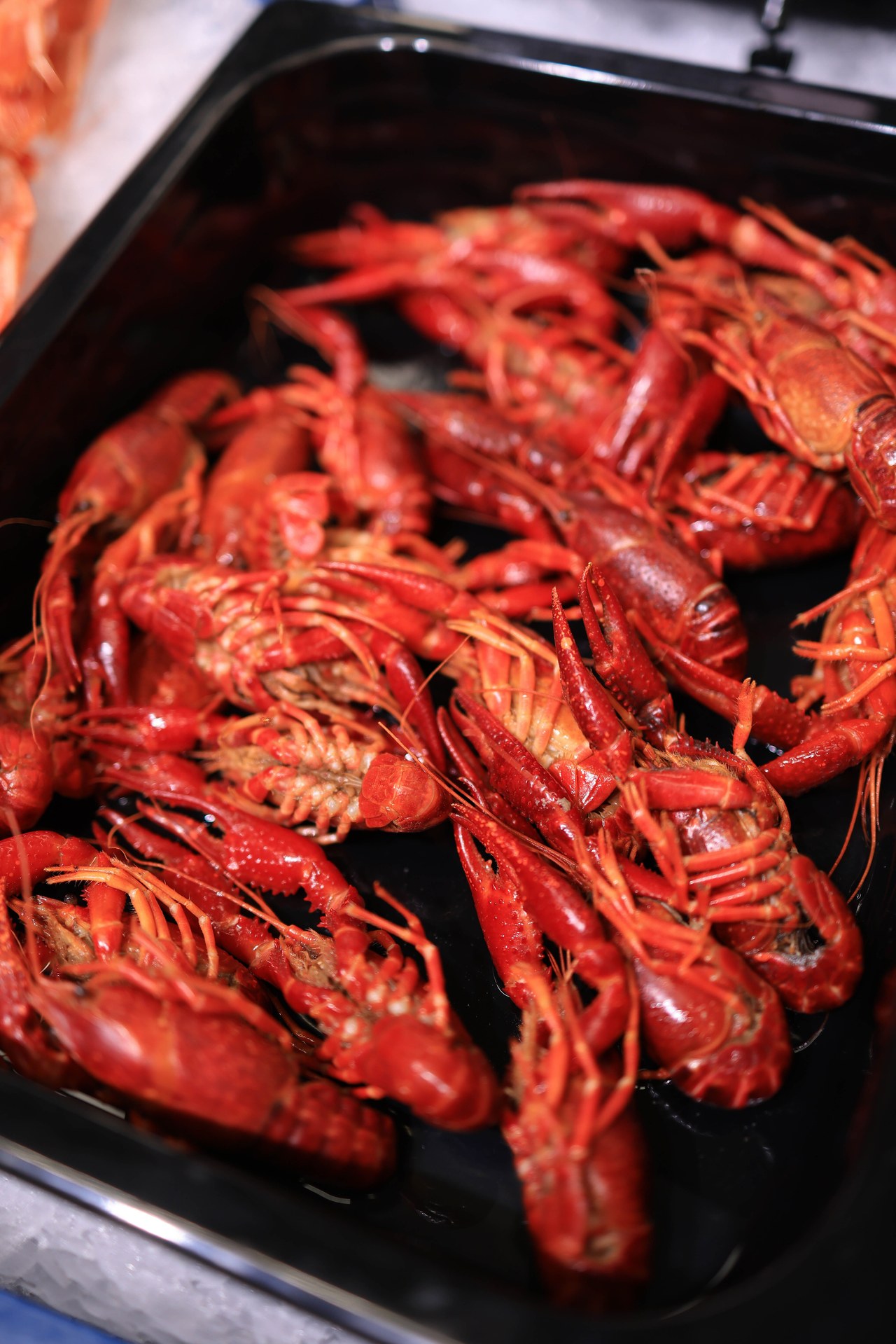 Seafood import and distribution